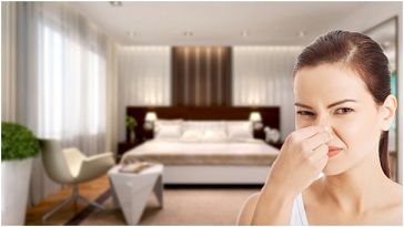 Bật mí cách trị ẩm mốc trong phòng và khử mùi hôi nhanh